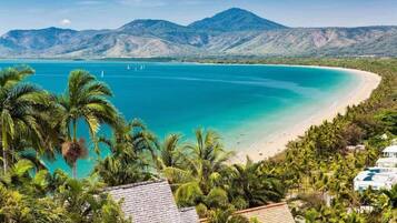 A coastal landscape with a beach, palm trees, and mountains in the background.