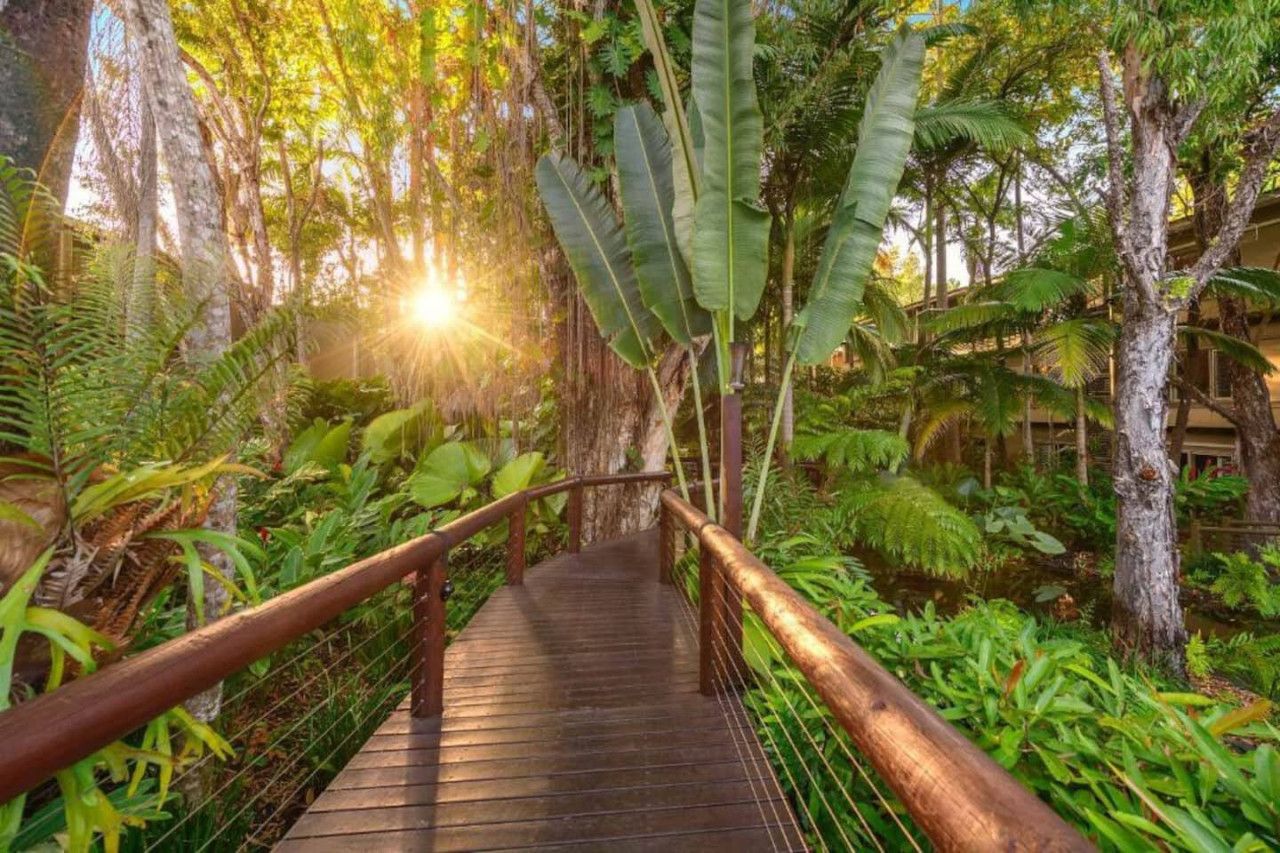 A wooden bridge with metal railings surrounded by lush greenery and trees.
