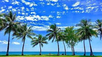 A beach with palm trees and a clear sky.
