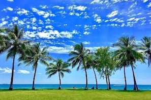Una playa con palmeras y cielo despejado.