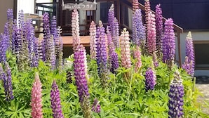 A modern two-story building with a balcony and a garden of purple and pink flowers in front. - Kashiwa House Furano (Furano)