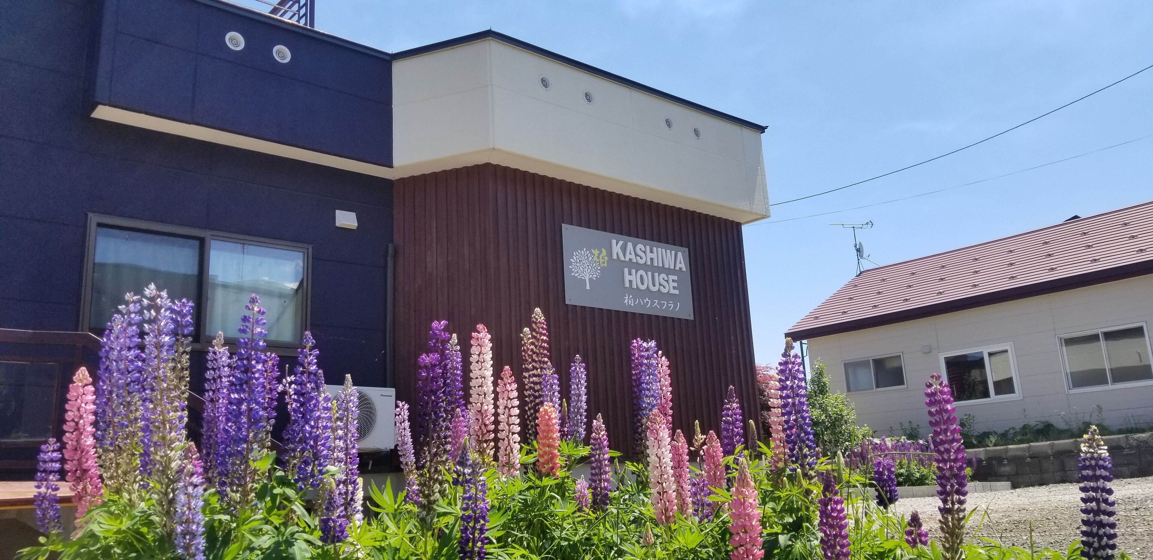 A building with a sign reading "KASHIWA HOUSE" and a garden with purple flowers in front.