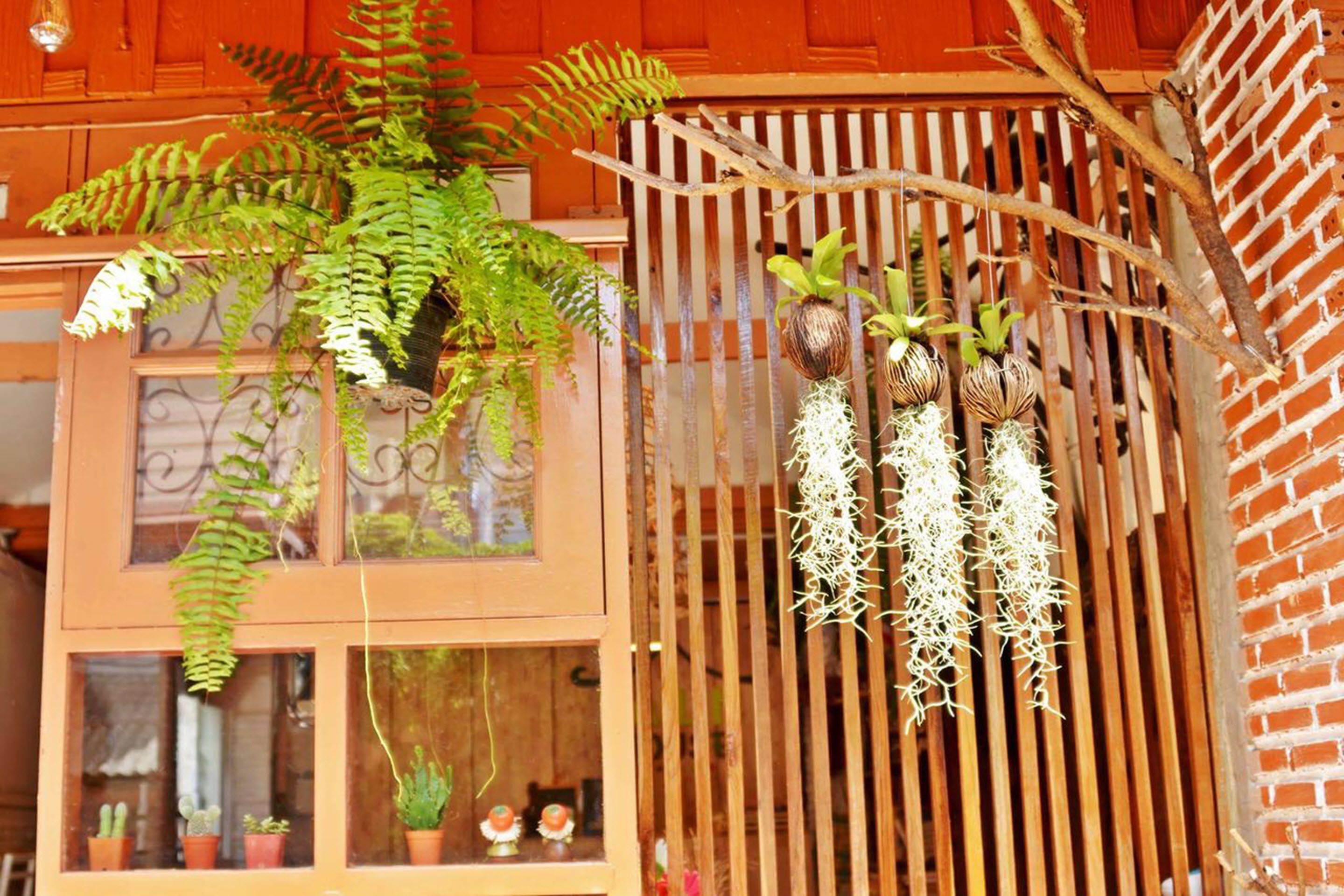 Photo - Pailin Guest House