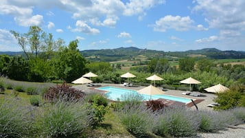 Outdoor pool, sun loungers