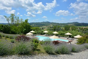 Outdoor pool, sun loungers