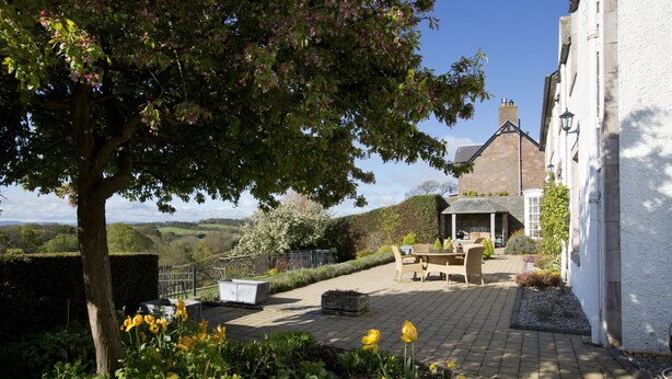 Un jardin avec un arbre, des fleurs et un espace patio comprenant une table et des chaises.