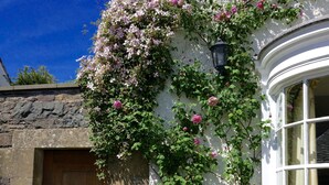 Un bâtiment en pierre avec une porte en bois et un mur blanc orné de rosiers grimpants.