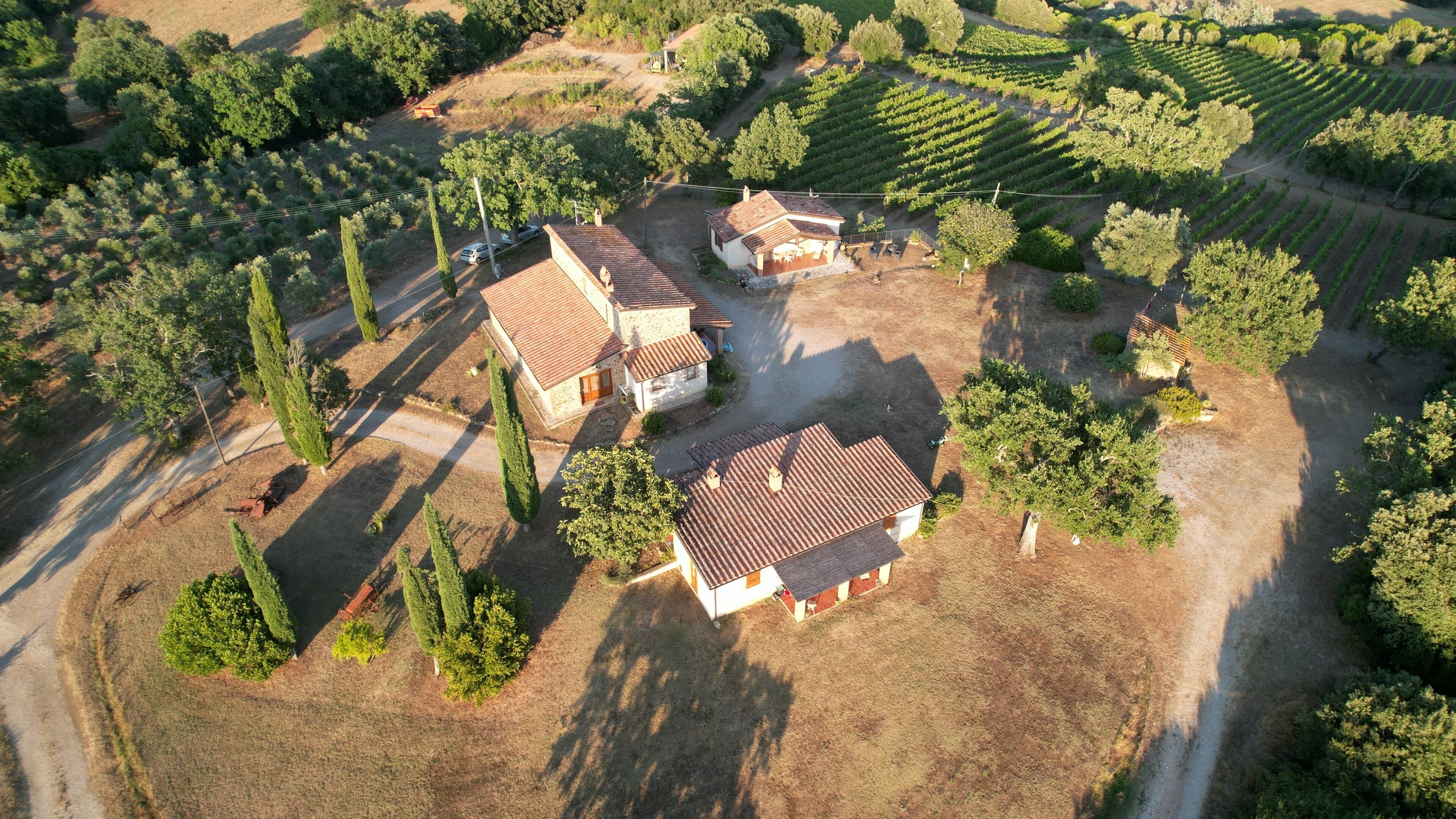 Vue aérienne d’une propriété rurale comprenant deux maisons, un vignoble et un chemin de terre.