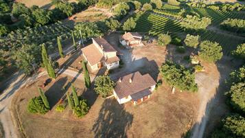 Vue aérienne d’une propriété rurale comprenant deux maisons, un vignoble et un chemin de terre.