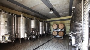 Una habitación limpia de estilo industrial con tanques de acero inoxidable y barriles de madera, probablemente utilizada para la elaboración o fermentación.