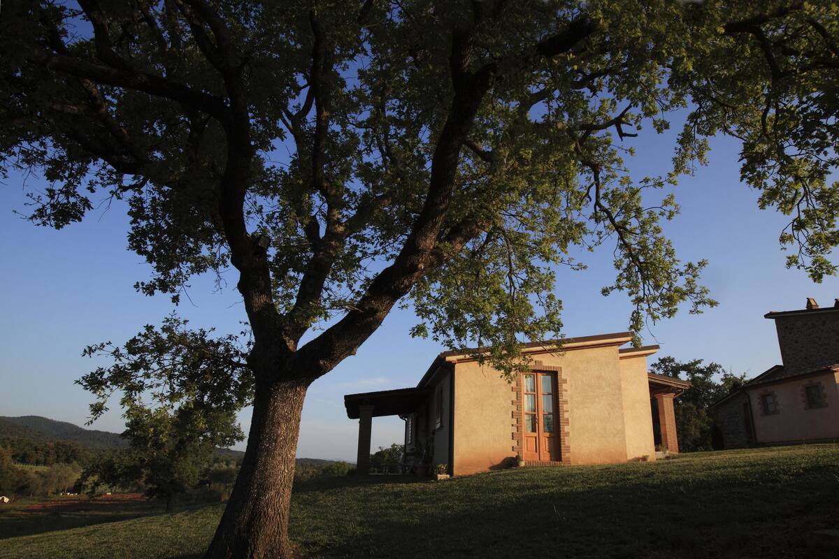 Um edifício com fachada de pedra, um alpendre coberto e uma grande árvore em primeiro plano.