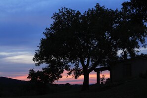 Vista desde la habitación