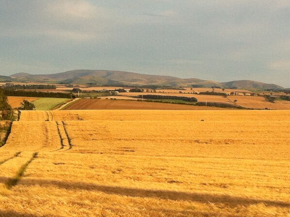 صورة غير مصنفة، 1 من 49، زرّ