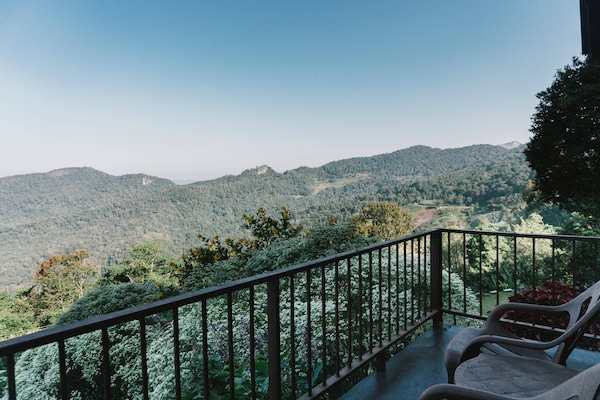 Quadruple Room (Type A) | View from room