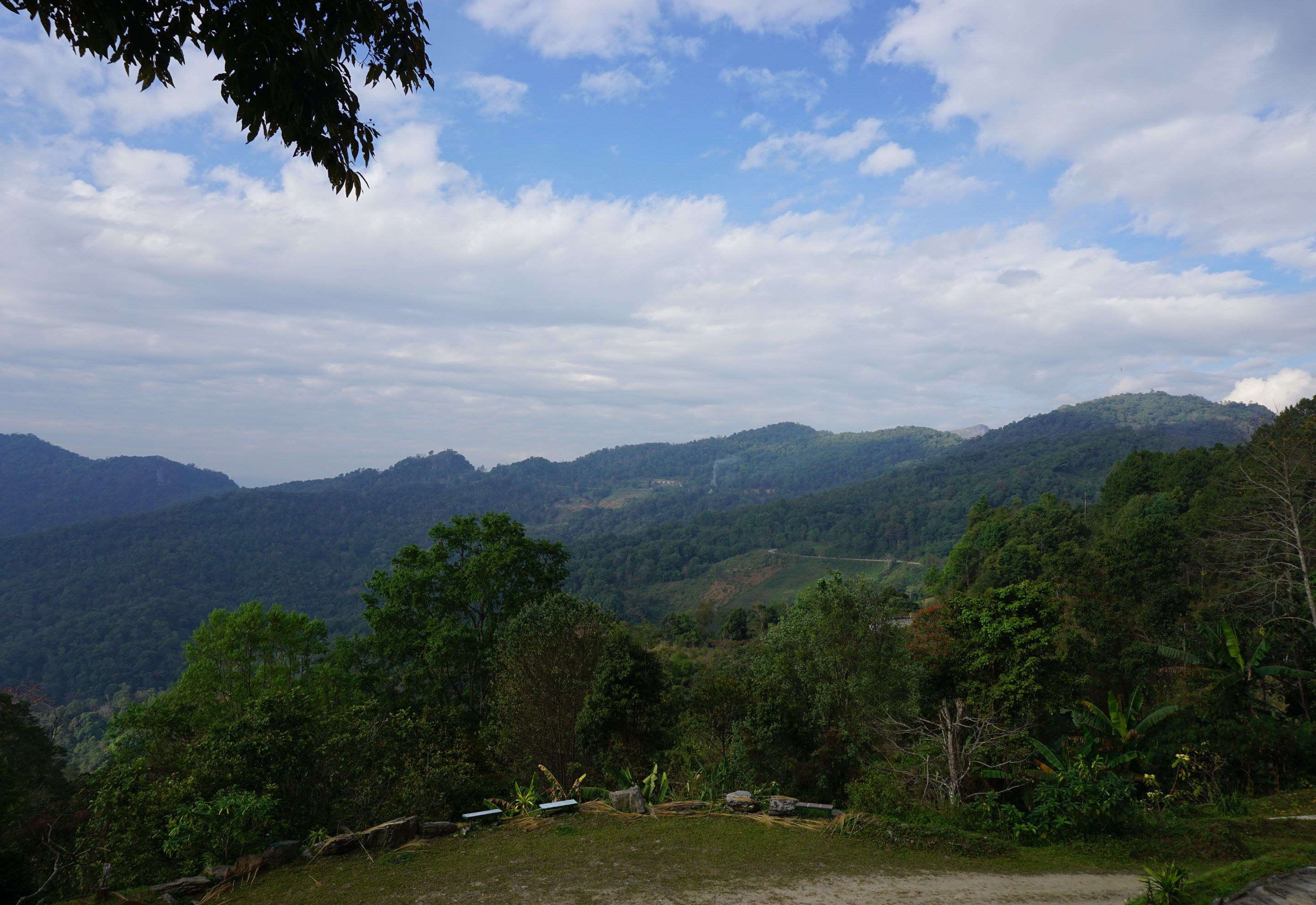 Un paisaje montañoso con abundante vegetación y cielo despejado.