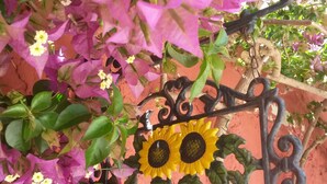 A wrought iron sign with the word "WELCOME" and two sunflowers, surrounded by purple bougainvillea flowers. - La Coccinella (Massarosa)