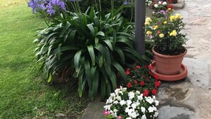 Een tuinpad met diverse bloempotten en bloemen.
