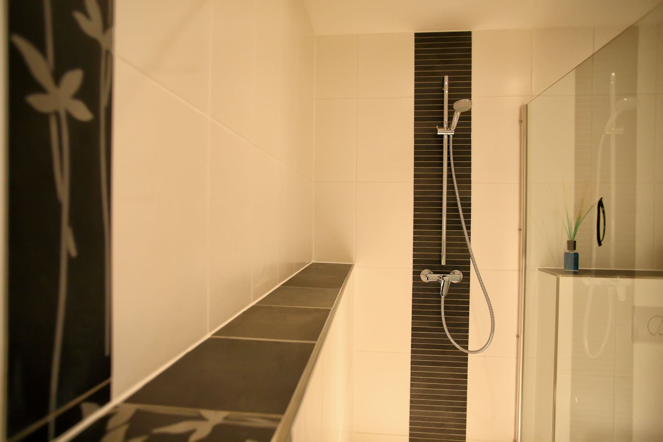 A modern bathroom with a glass shower enclosure, a black vertical panel, and a small plant on the sink.