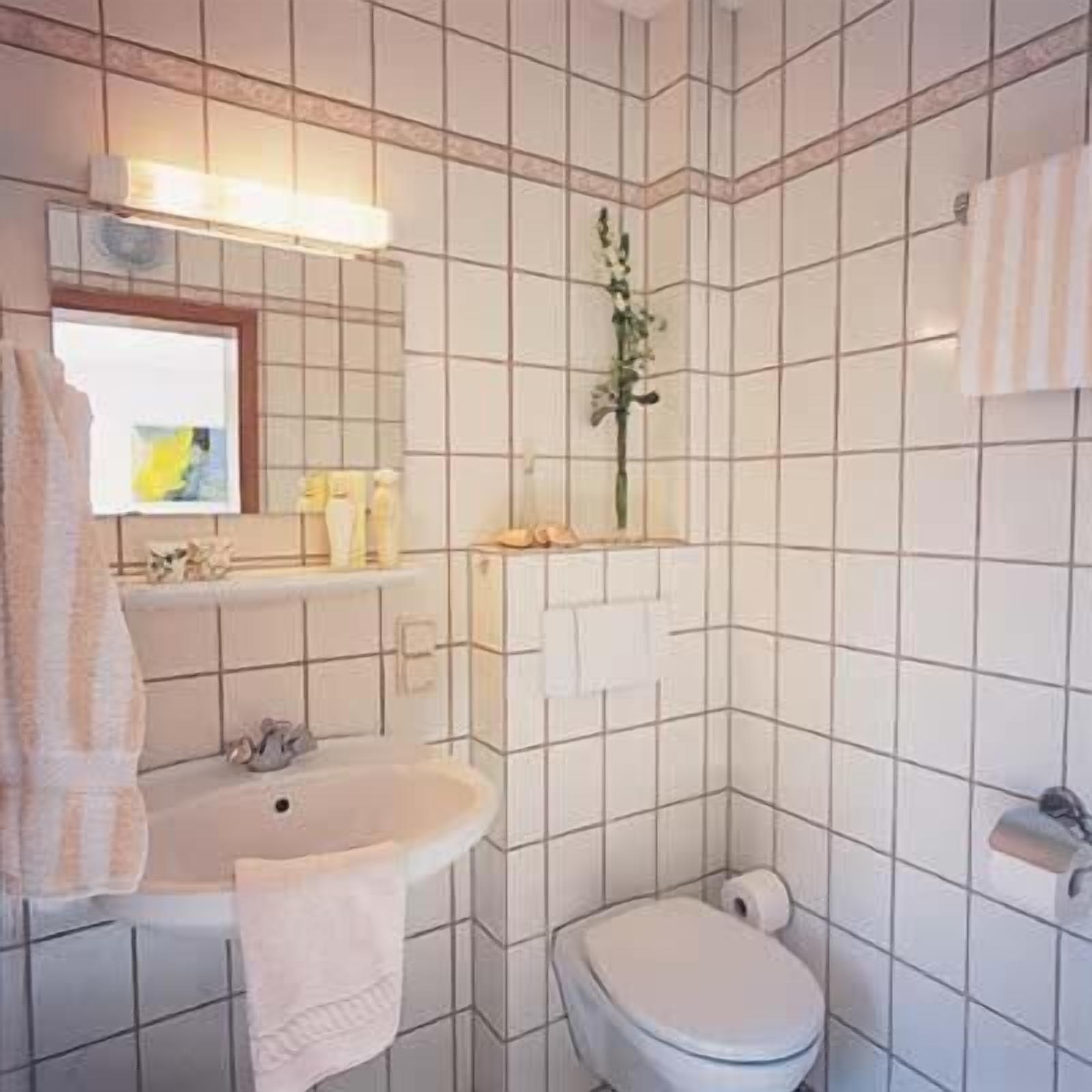 free toiletries, hair dryer, towels