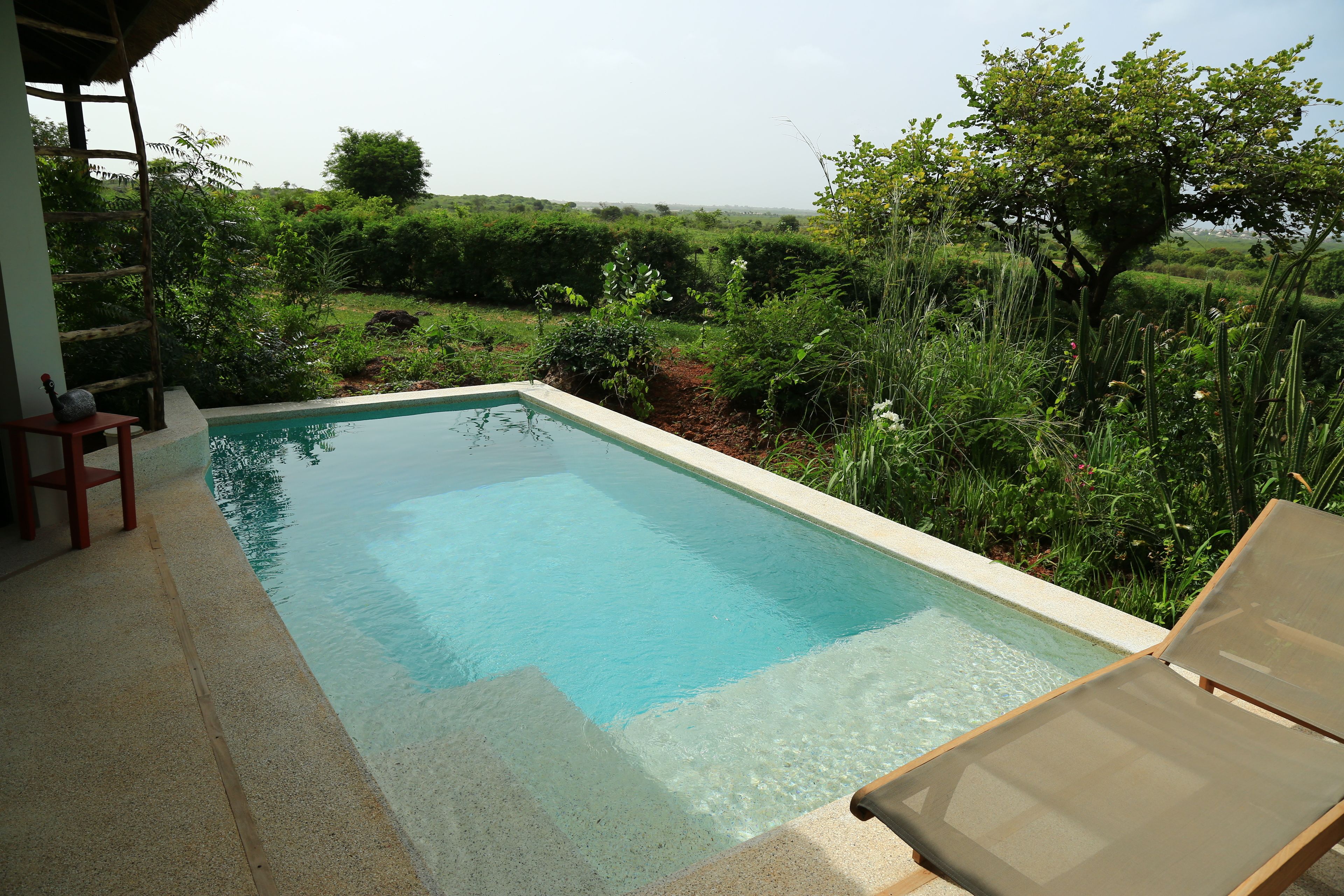 Ein rechteckiger Swimmingpool mit klarem, blauem Wasser, umgeben von üppiger Vegetation und einer Holzterrasse.
