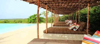 Les Manguiers de Guéréo