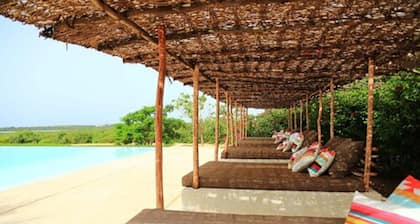 Les Manguiers de Guéréo