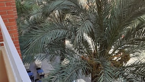 Un balcón con una palmera, mobiliario exterior y un coche estacionado.