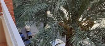 Pension Arena Alicante