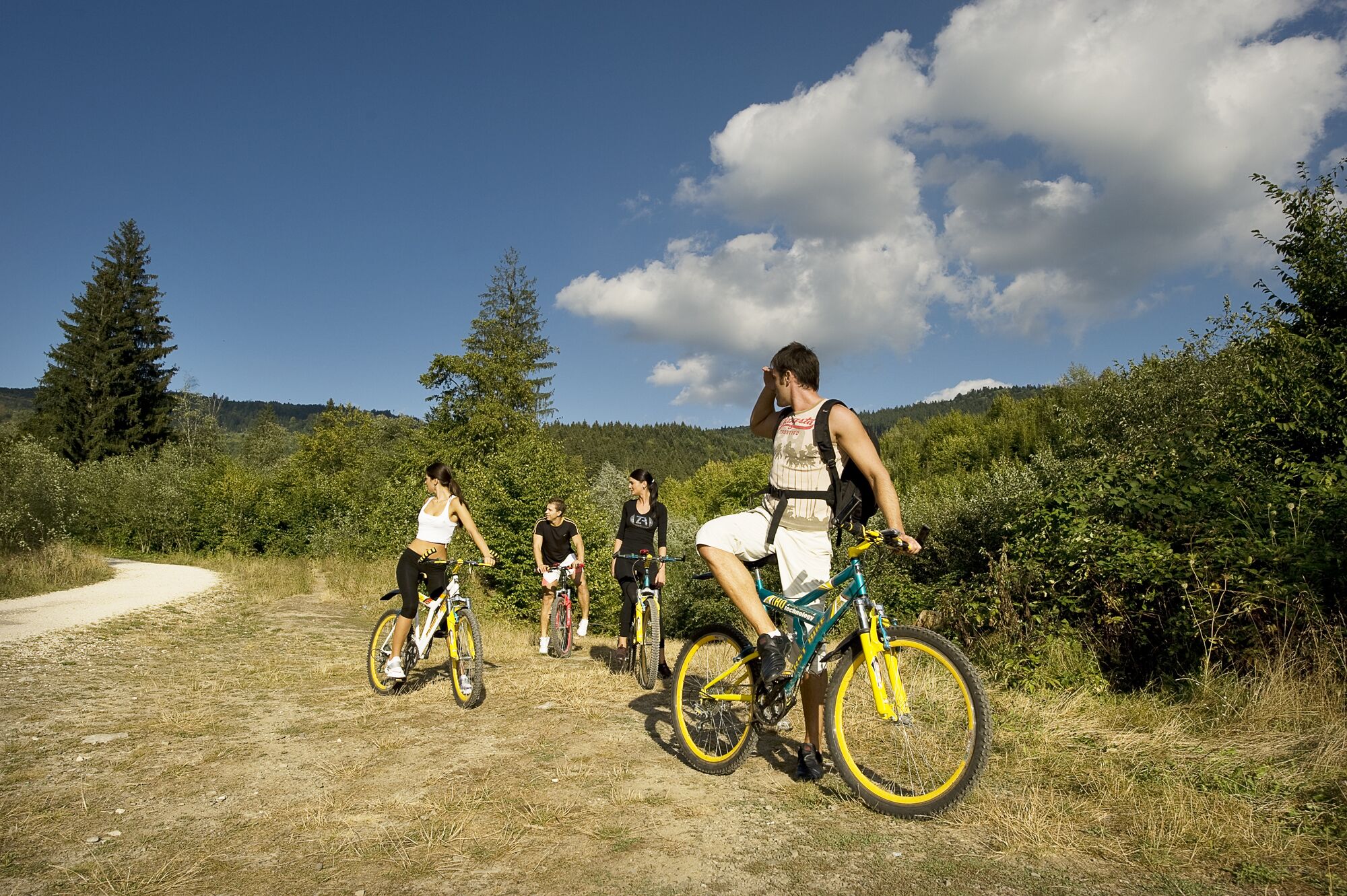 Un grupo de personas en bicicleta en un entorno natural con árboles y cielo despejado.