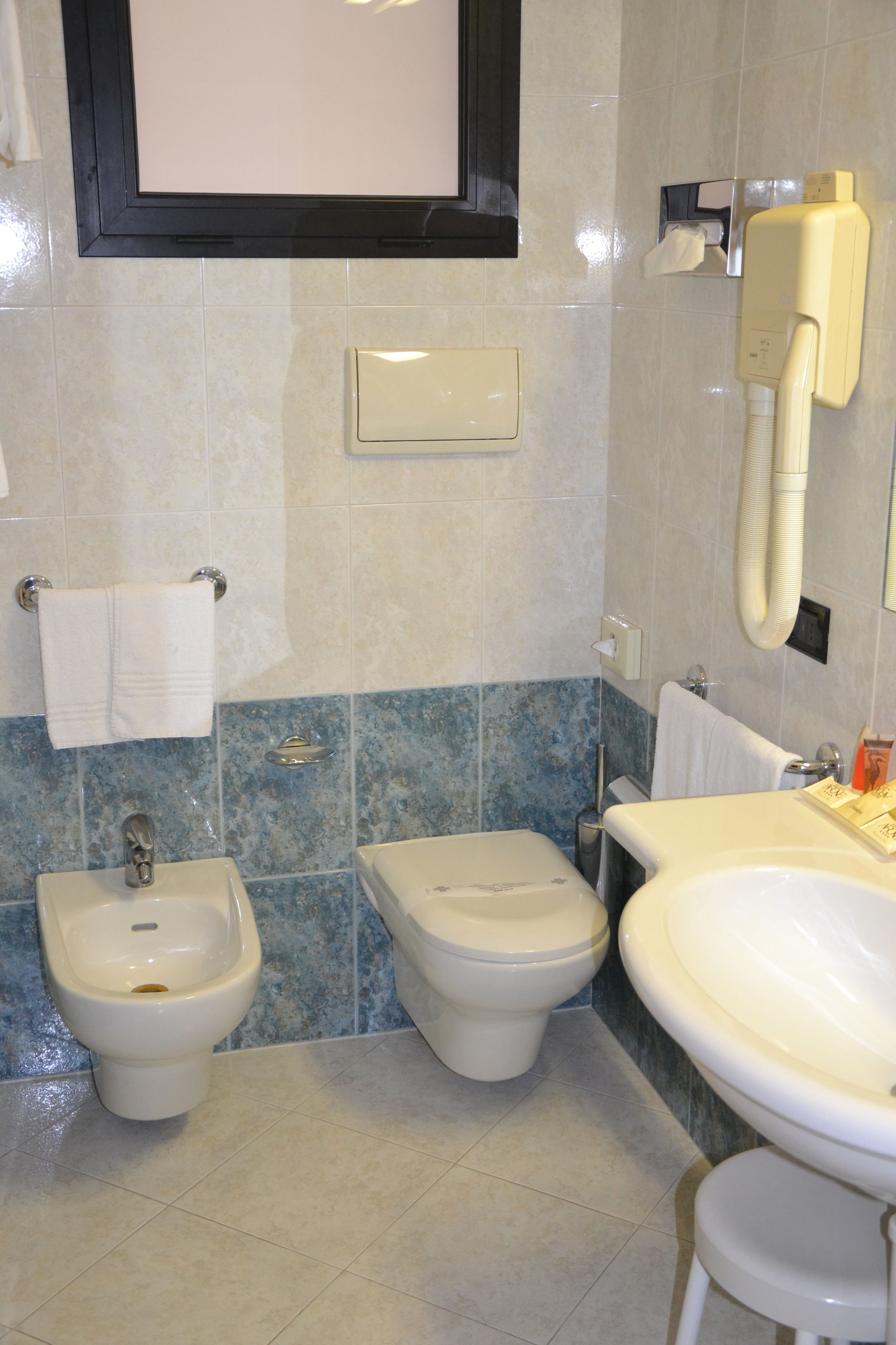 deep-soaking bathtub, free toiletries, hair dryer, bidet