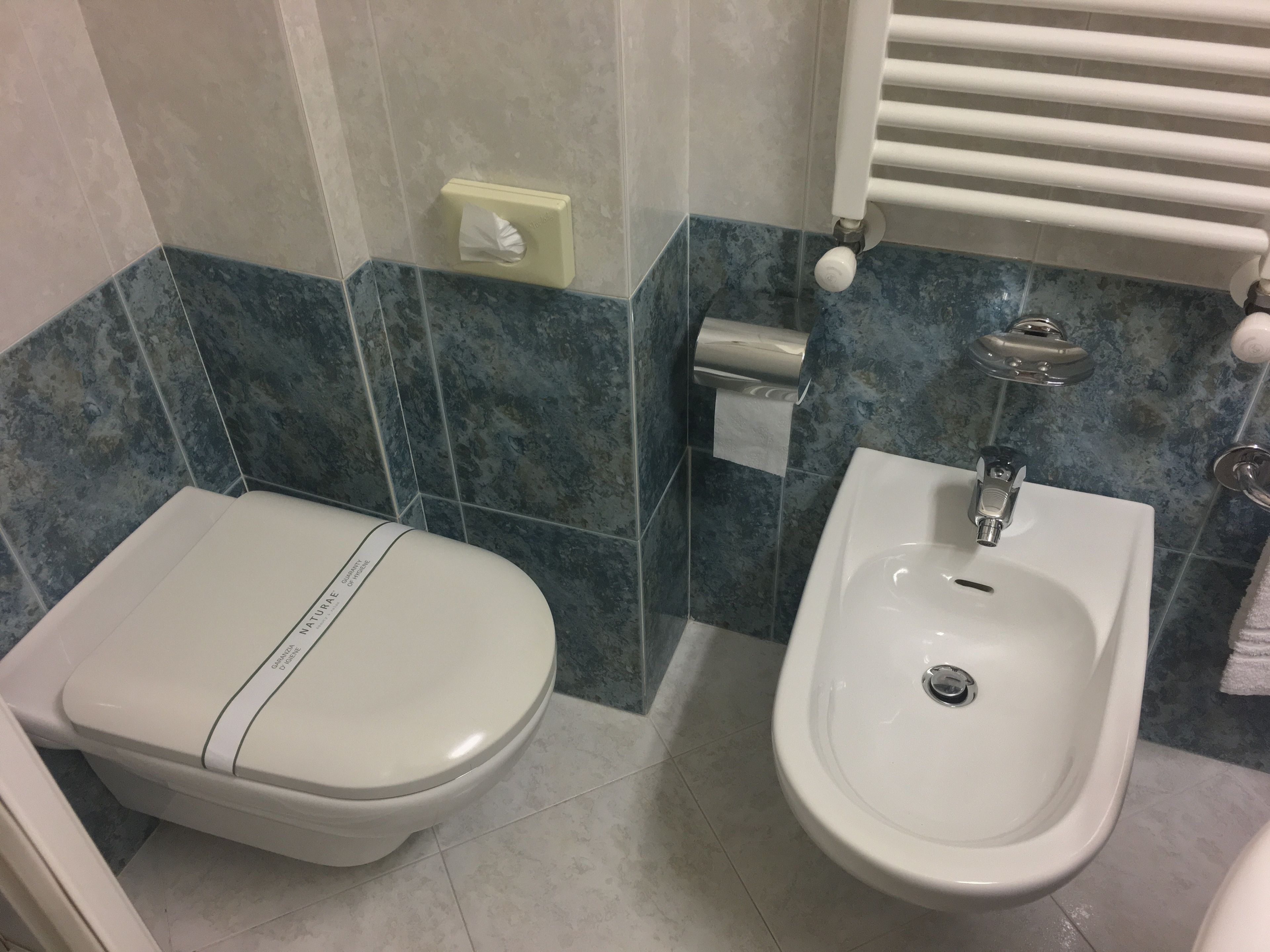 Un baño con inodoro y bidé.