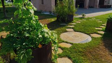 Chambre Double Panoramique, vue jardin | Vue de la chambre