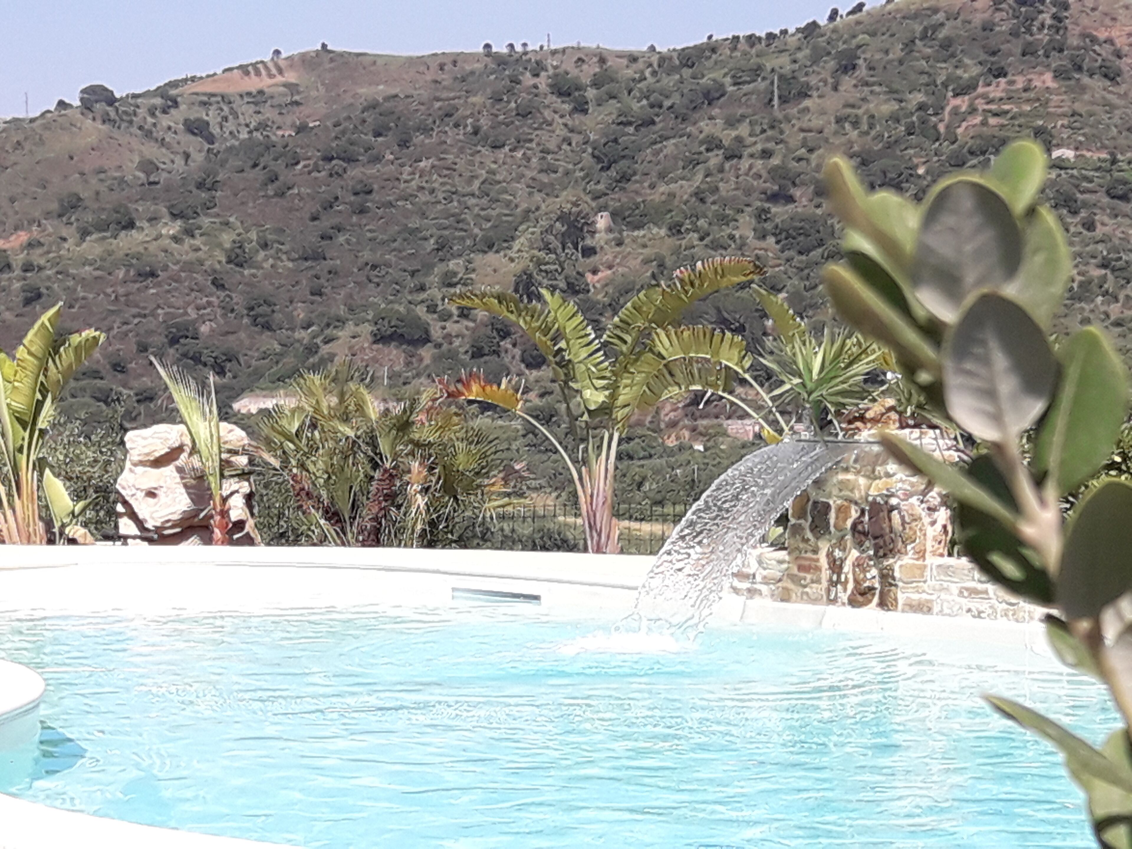 Une piscine agrémentée d’une cascade, entourée de plantes tropicales et bordée d’un paysage vallonné en arrière-plan.