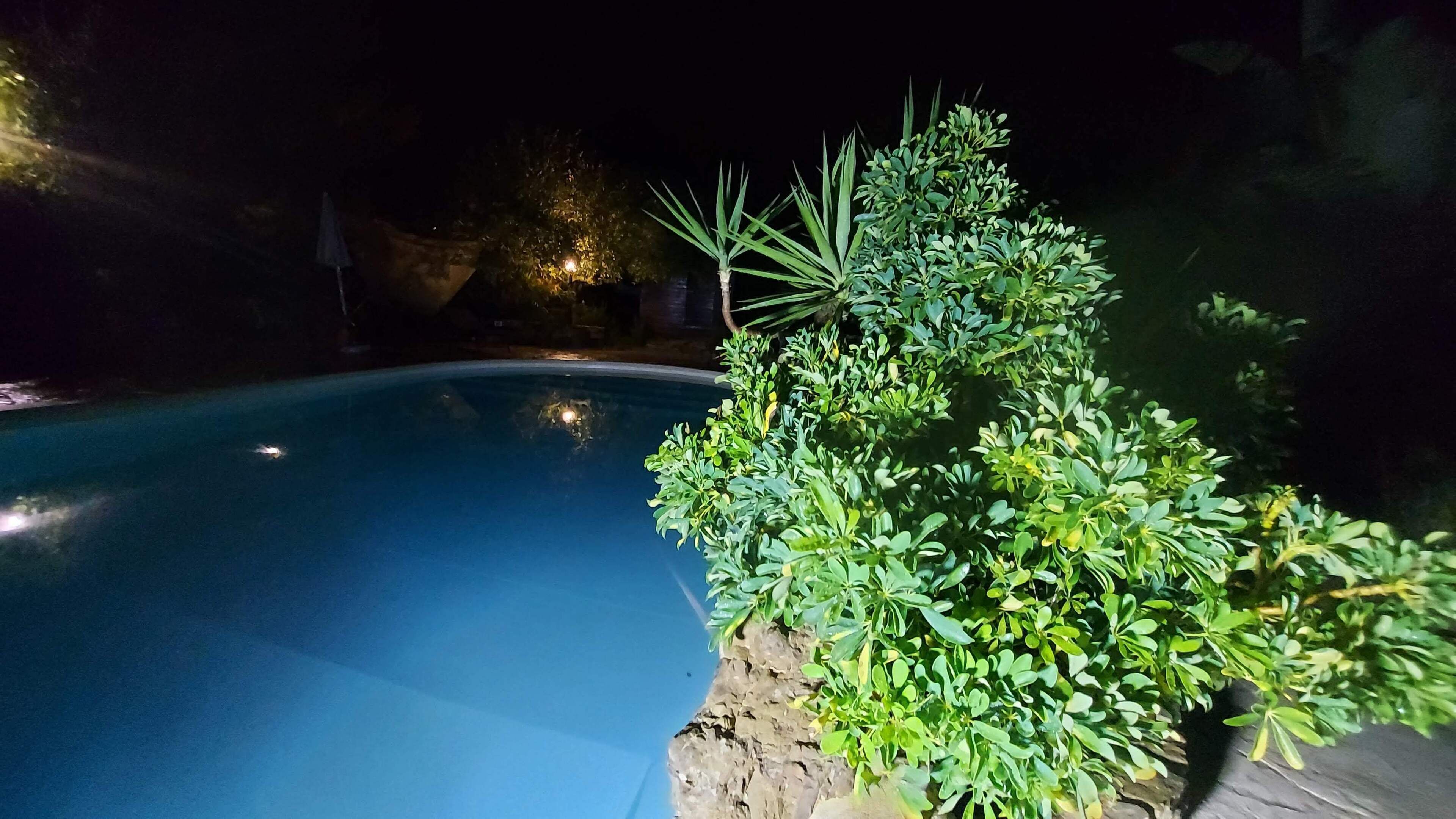 A swimming pool at night with surrounding greenery and a stone wall.