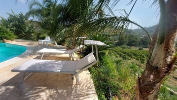 Zona junto a la piscina con sillones de descanso y vistas a un viñedo.