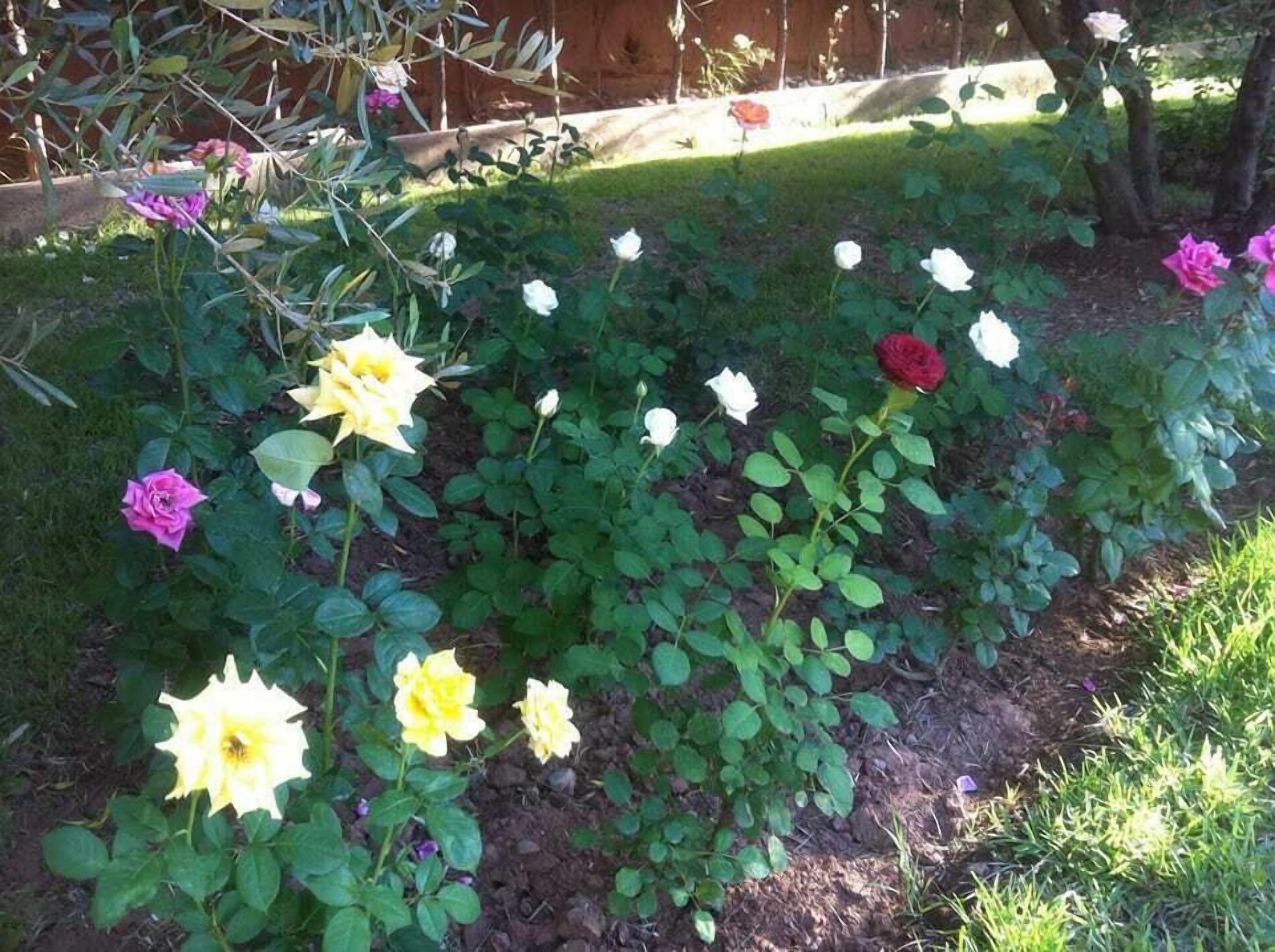 Foto - Riad Sidi Hicham