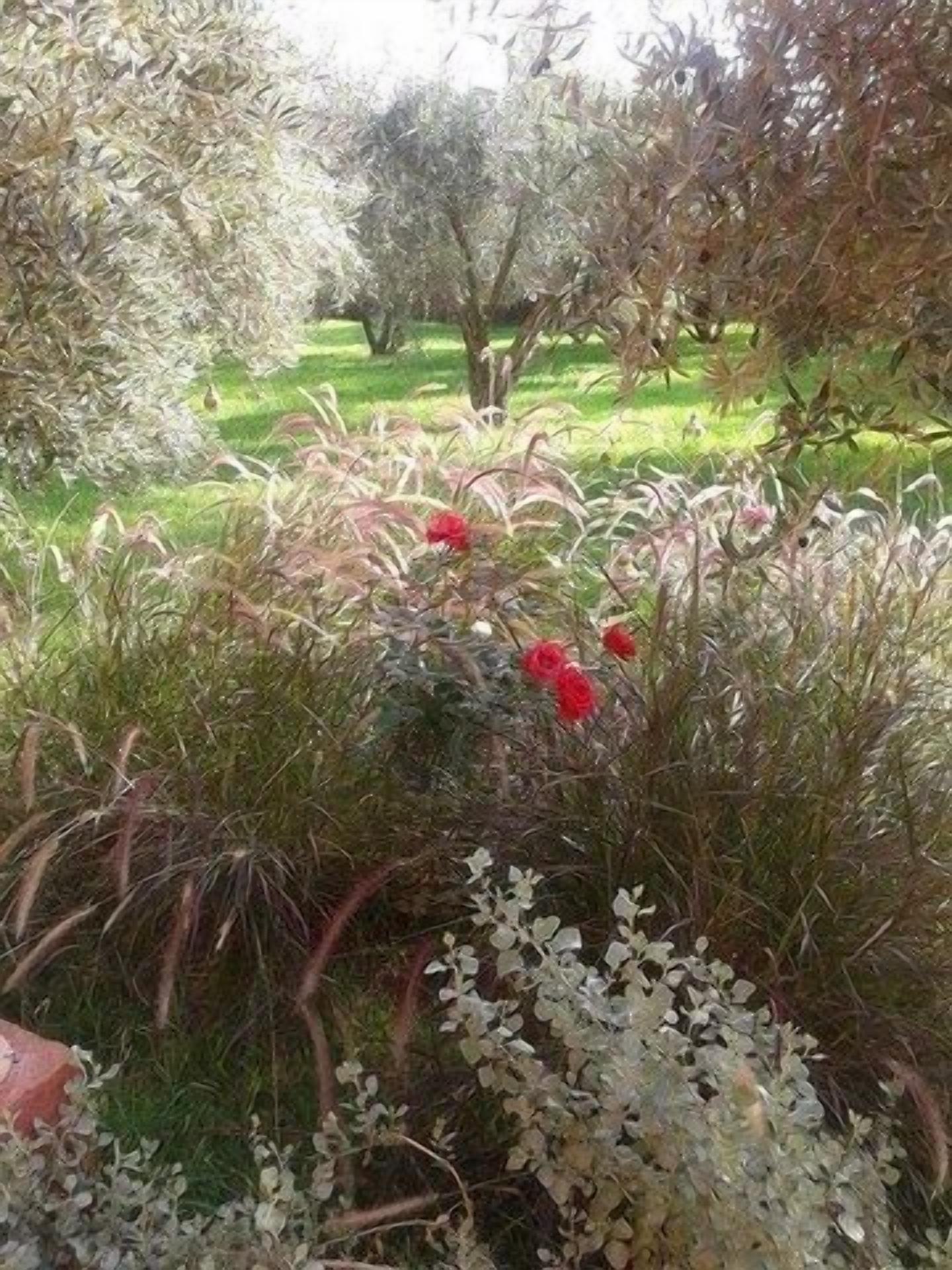 Foto - Riad Sidi Hicham