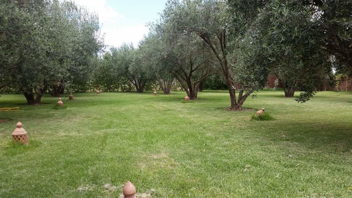 Foto - Riad Sidi Hicham