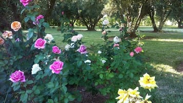 Jardin