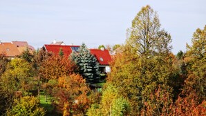 A residential area with a red-roofed house surrounded by autumn-colored trees. - Prázdninový dům Pacl (Cervená Recice)