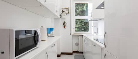 Großer Kühlschrank, Mikrowelle, Ofen, Herdplatte