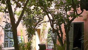An outdoor patio area with potted plants, a table with a red tablecloth, and a chair. - Riad Sidi Omar (Marrakech)