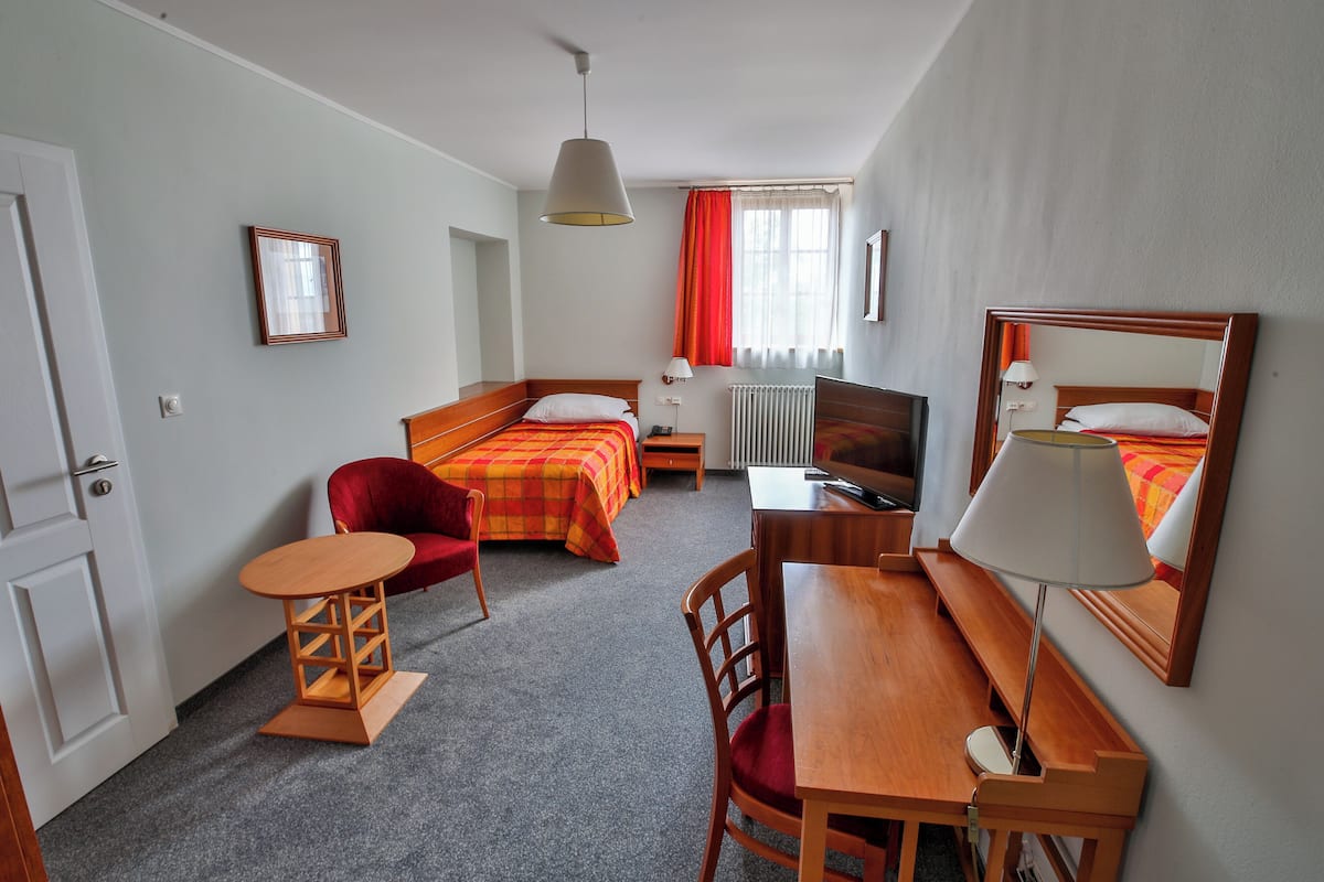 Eenpersoonskamer | Een minibar, een kluis op de kamer, een bureau, een laptopwerkplek