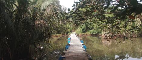 Terrain de lâhĂ©bergement