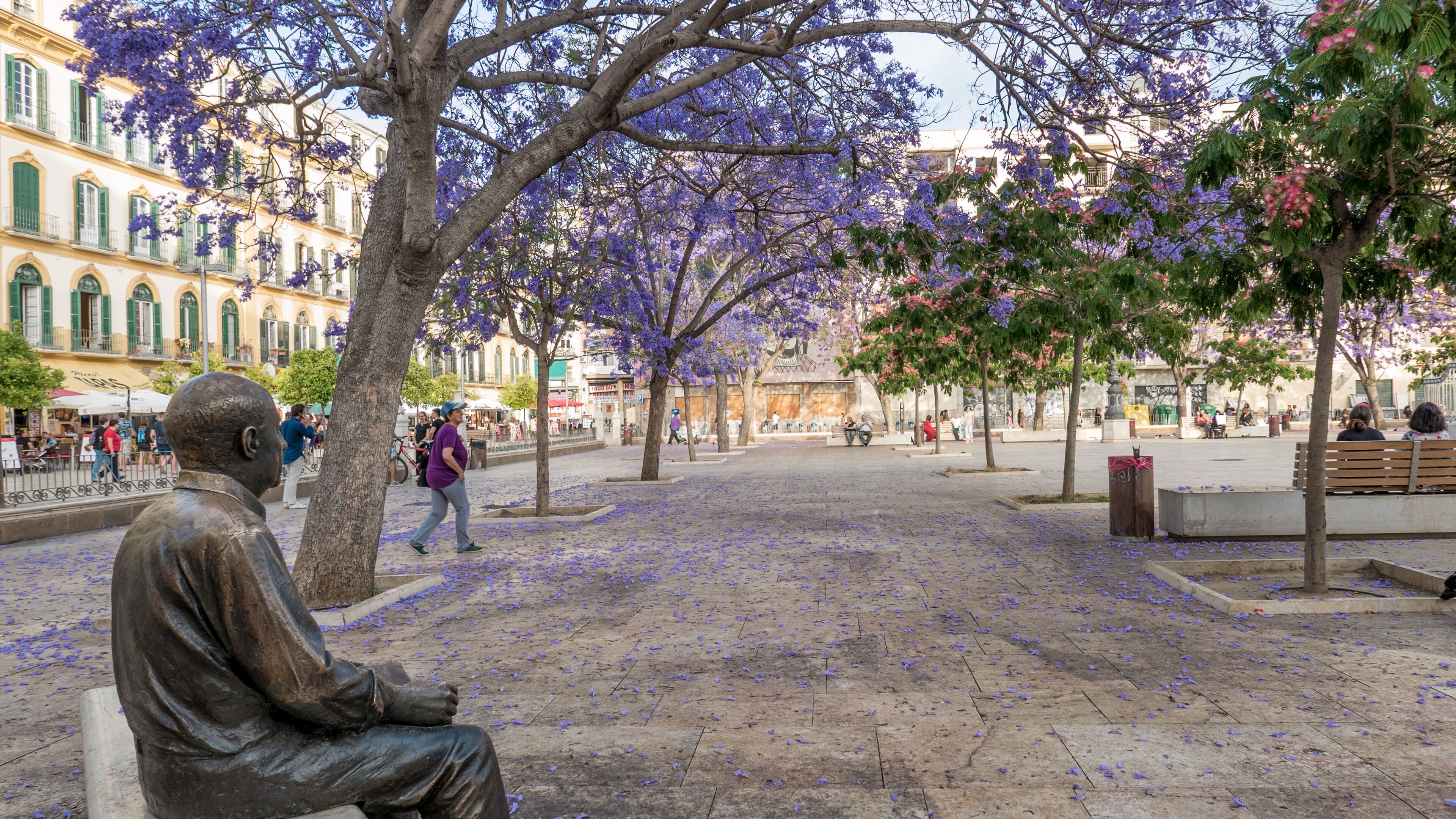 Una plaza pública con una estatua, árboles con flores moradas y edificios al fondo.