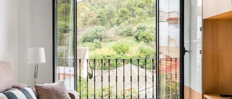 TV connectée, Netflix, livres, services de streaming