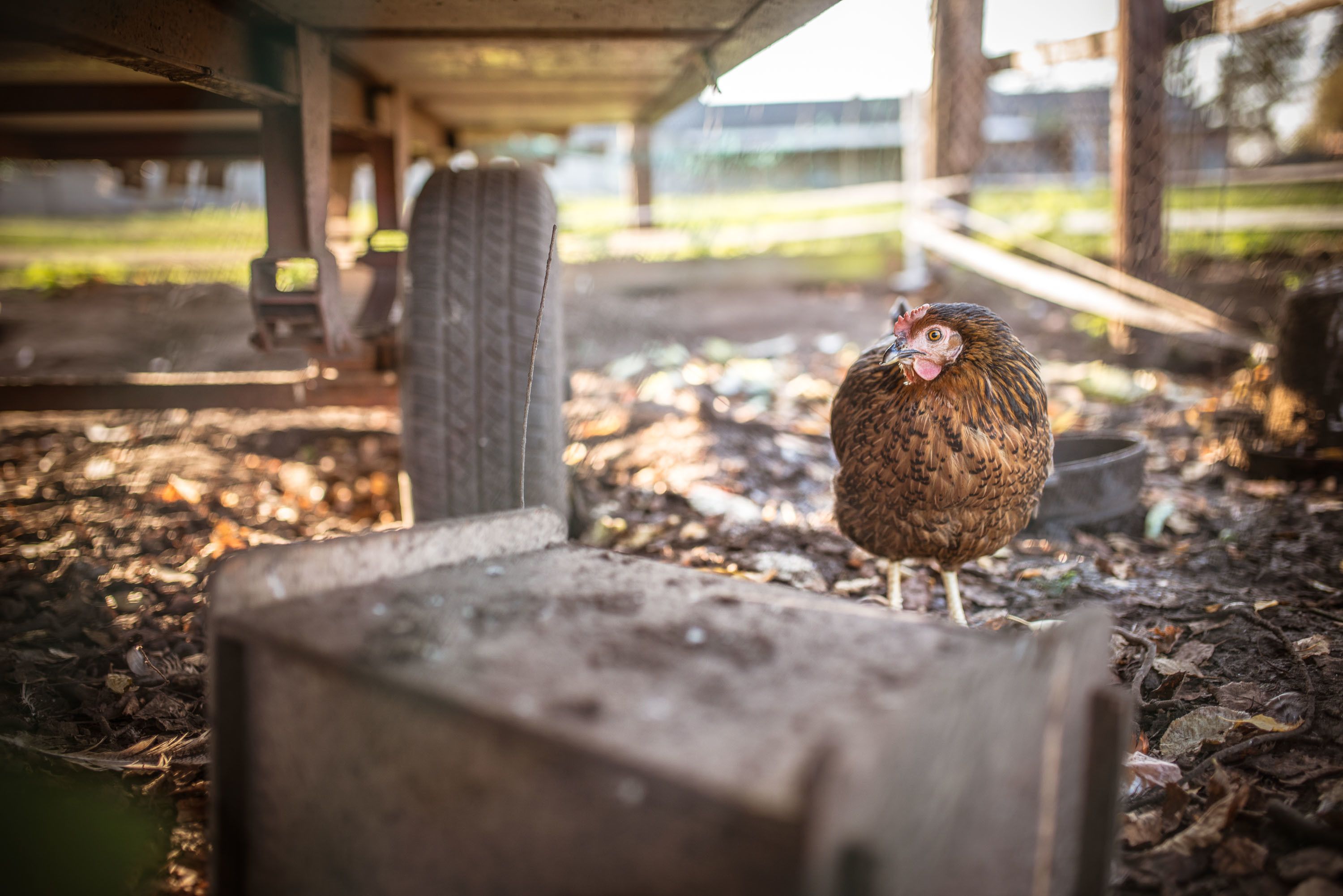 children’s activities