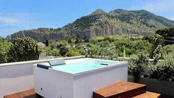 Deluxe-Doppel- oder -Zweibettzimmer, 1 Queen-Bett und Schlafsofa, eigener Pool, Gartenblick | Minibar, Schreibtisch, kostenloses WLAN, Bettwäsche