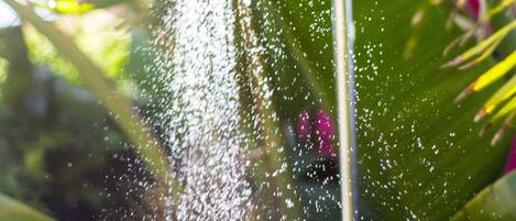 A showerhead with water spraying out.