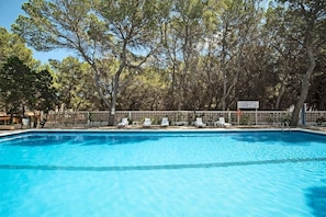 Piscina a l'aire lliure de temporada (horari: 10:00-18:00) i para-sols 